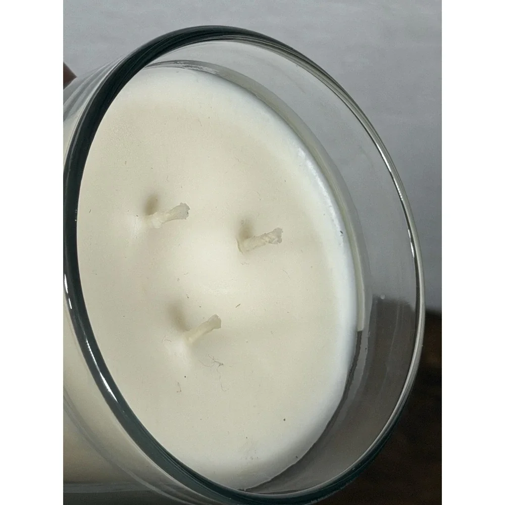 NEW Hallmark WINTER SPICE 3 WICK CANDLE Cardamom & Ginger SCENTED SOY BLEND 16oz